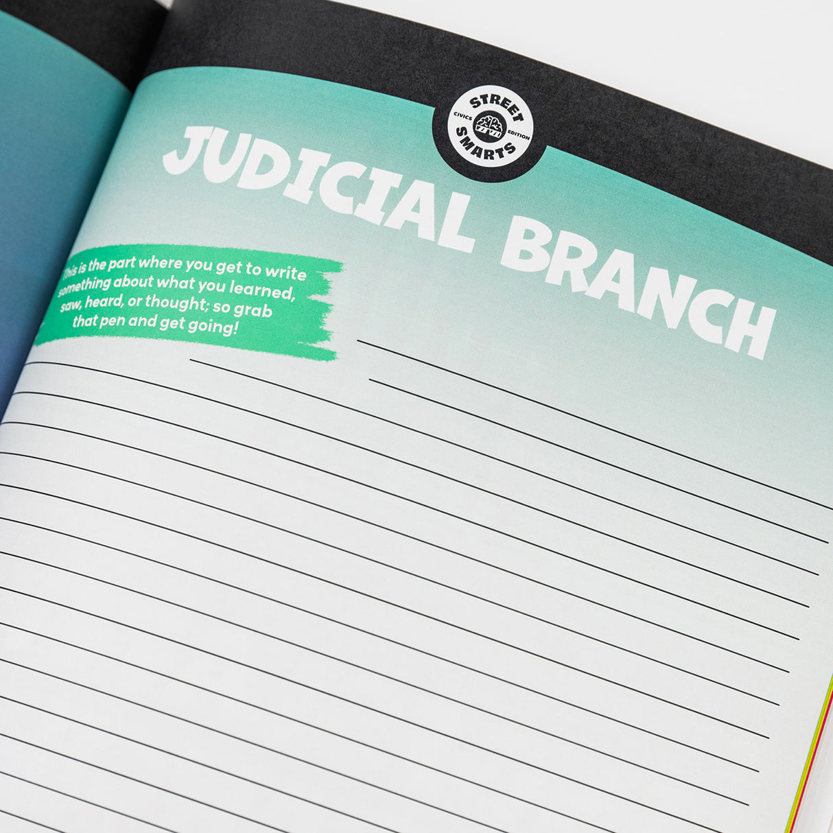 Street Smarts: Civics Edition Workbook