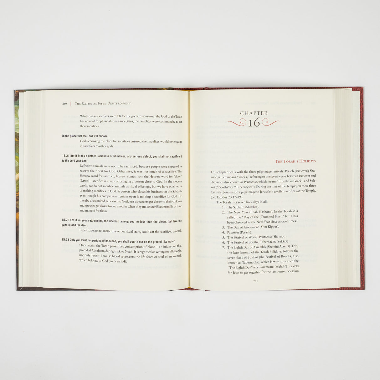 GetBooks edition of The Rational Bible: Deuteronomy by Regnery Faith, featuring the book cover with title and author details.