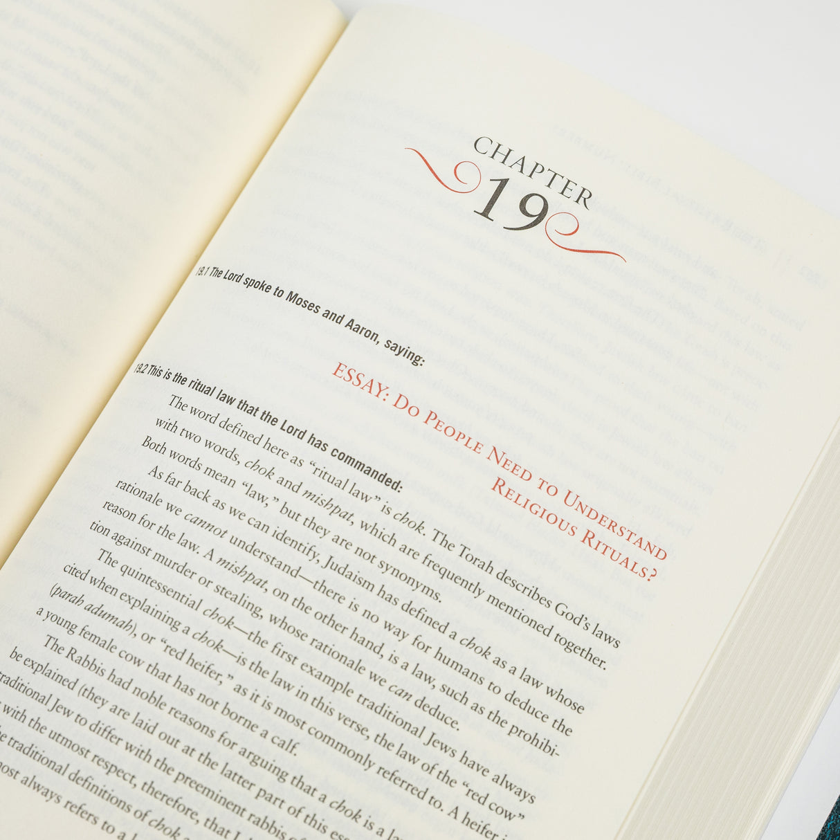 Cover of The Rational Bible: Numbers by Regnery Faith, featuring a biblical scene with text and design elements.