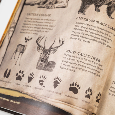 Trailblazers of America: Heroes of the Frontier