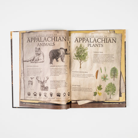 Trailblazers of America: Heroes of the Frontier