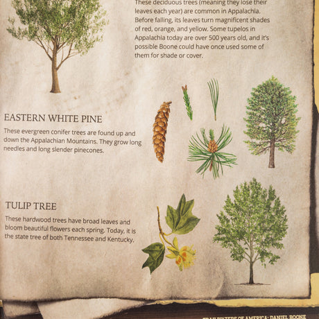 Trailblazers of America: Heroes of the Frontier