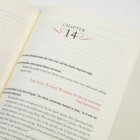 The Rational Bible: Numbers: God and Man in the Wilderness