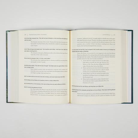 The Rational Bible: Numbers: God and Man in the Wilderness