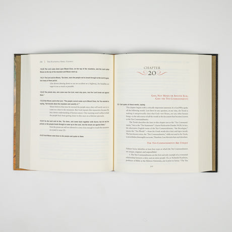 The Rational Bible: Exodus book by Regnery Faith, featuring a cover with biblical themes and the title prominently displayed.