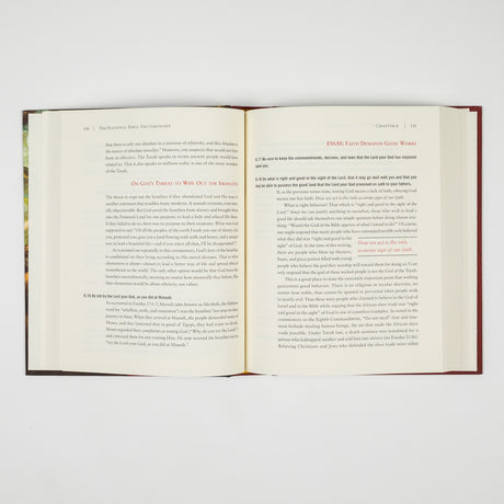 GetBooks Bible titled The Rational Bible: Deuteronomy by Regnery Faith, featuring a hardcover with the book cover design.