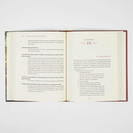 GetBooks Bible book cover featuring The Rational Bible: Deuteronomy by Regnery Faith, with a dark background and bold title text.