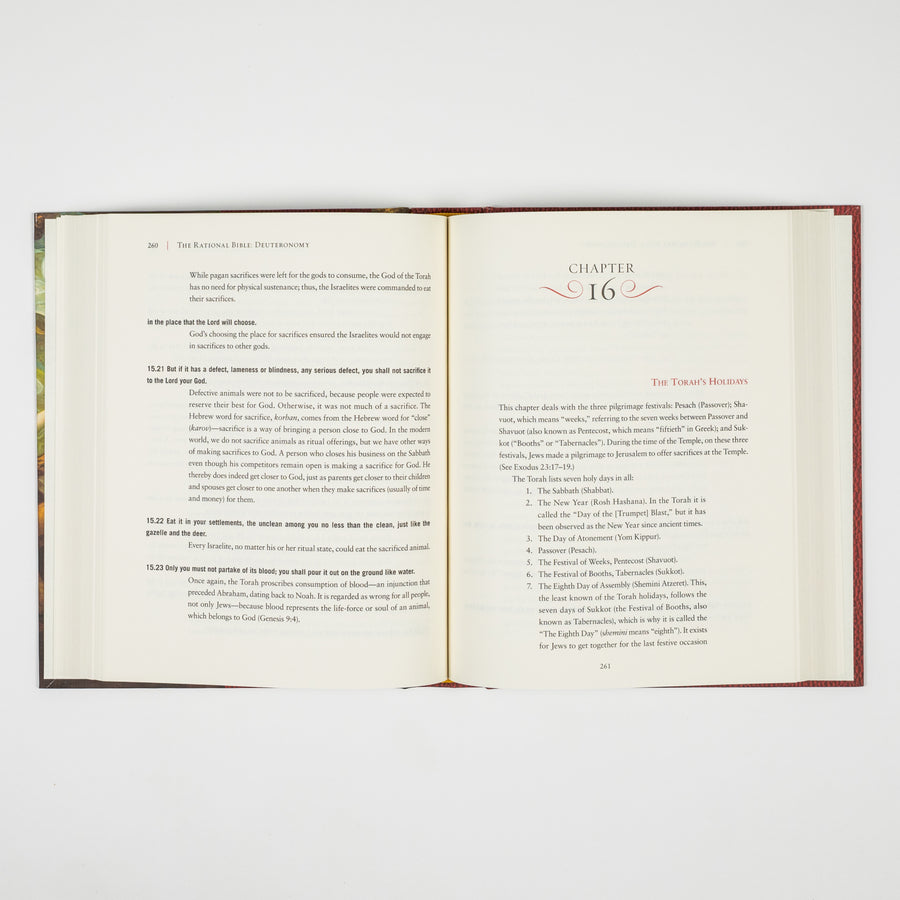 GetBooks edition of The Rational Bible: Deuteronomy by Regnery Faith, featuring the book cover with title and author details.