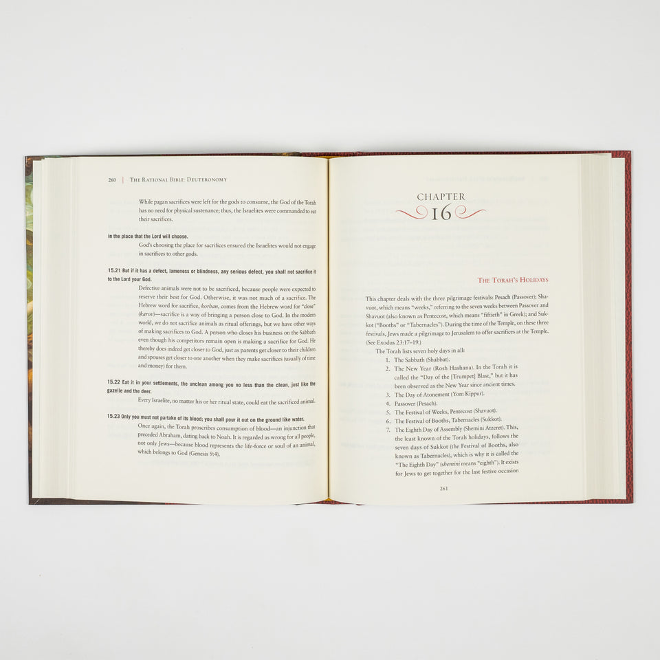 GetBooks edition of The Rational Bible: Deuteronomy by Regnery Faith, featuring the book cover with title and author details.