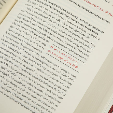 The Rational Bible Deuteronomy book by Regnery Faith, featuring a cover with title and author details.