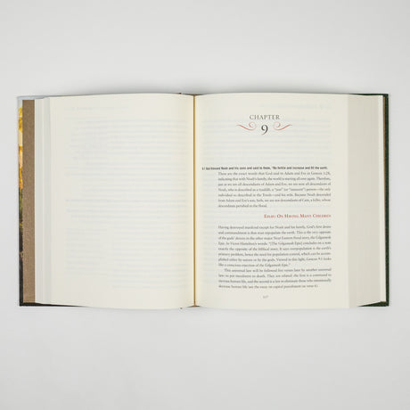 The Rational Bible: Genesis book by Regnery Faith featuring the cover with biblical imagery and title on a white background.