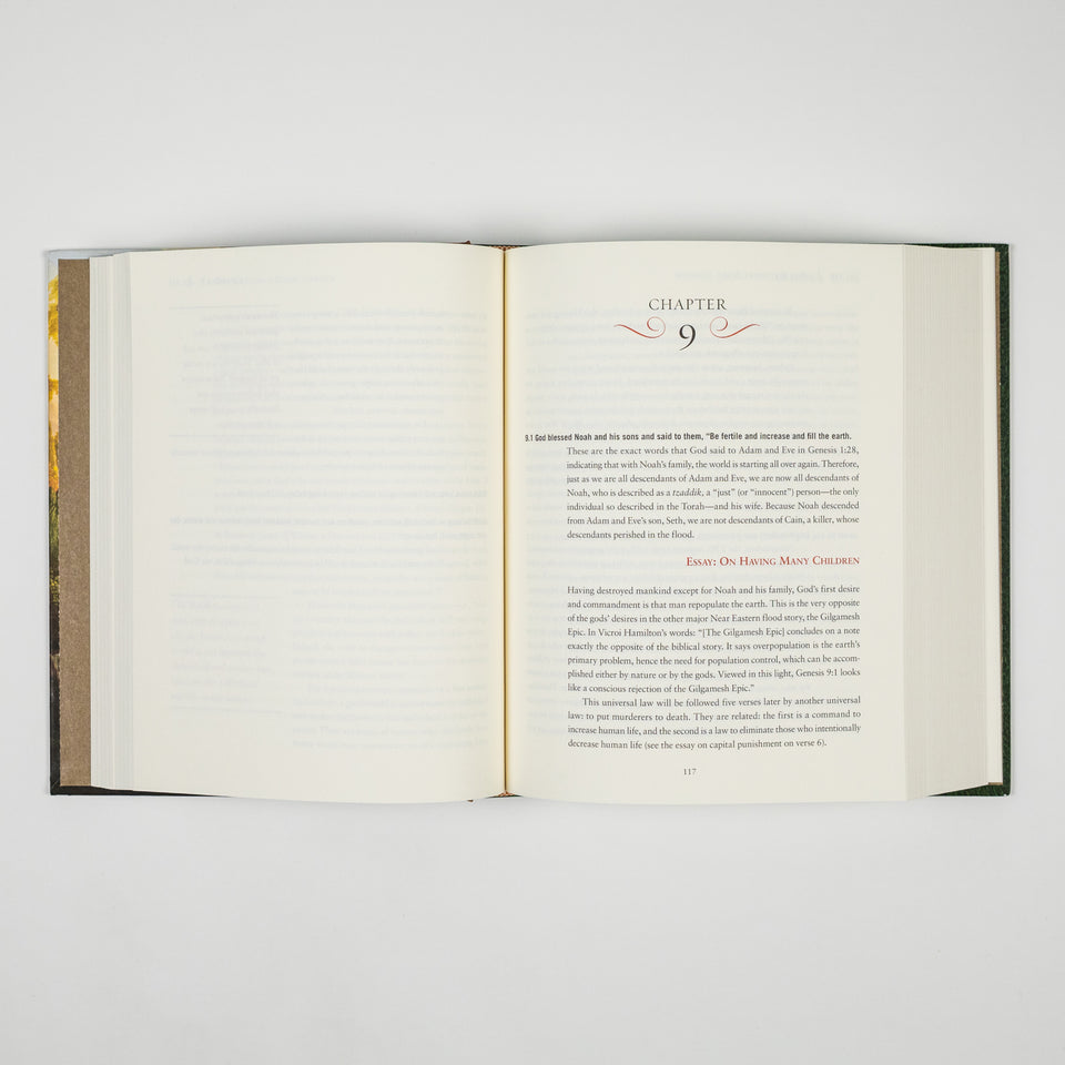 The Rational Bible: Genesis book by Regnery Faith featuring the cover with biblical imagery and title on a white background.