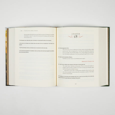 The Rational Bible: Genesis book by Regnery Faith featuring a cover with biblical imagery and title text.