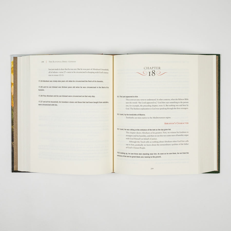 The Rational Bible: Genesis book by Regnery Faith, featuring a cover with Hebrew script and biblical imagery.