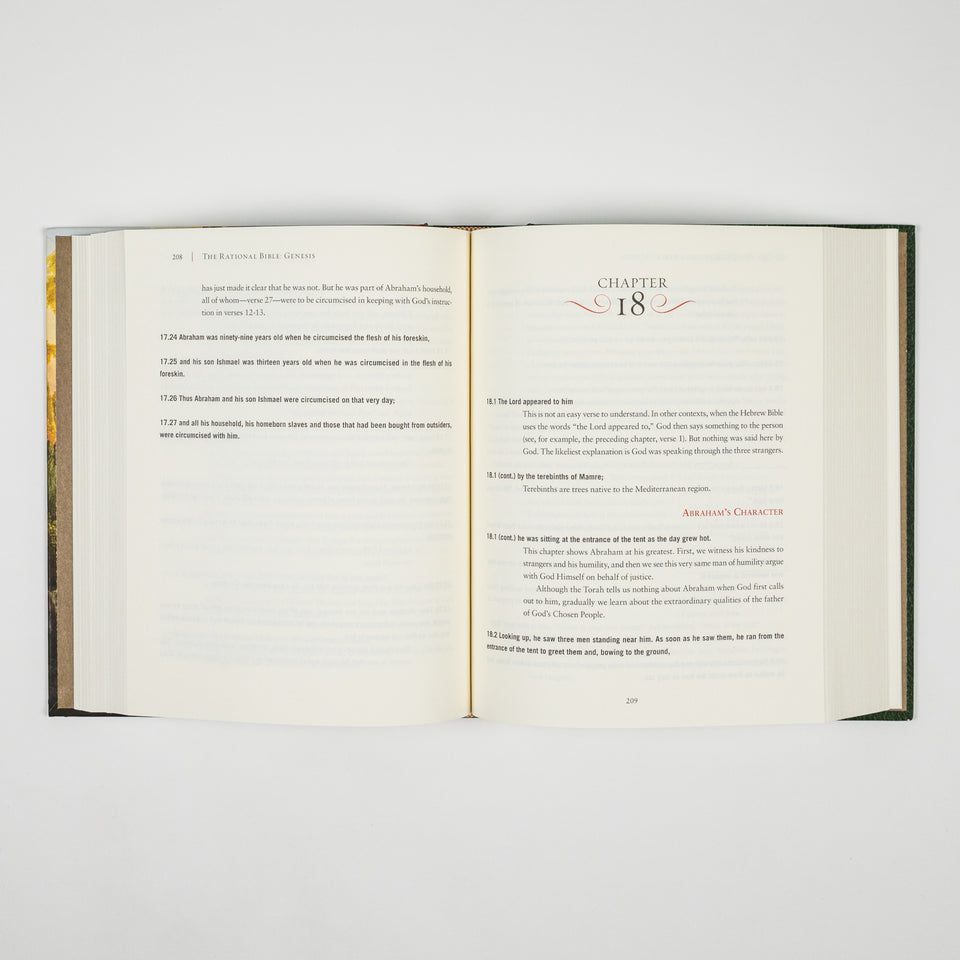 The Rational Bible: Genesis book by Regnery Faith, featuring a cover with Hebrew script and biblical imagery.