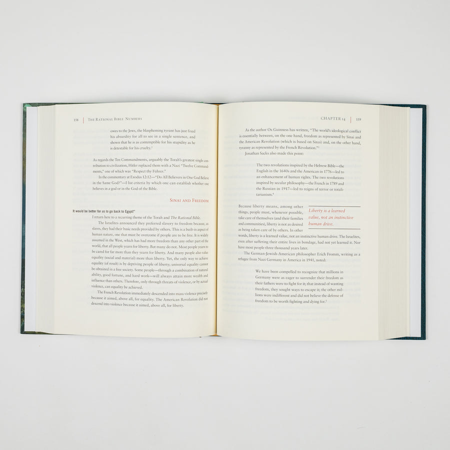 The Rational Bible: Numbers book cover by Regnery Faith, featuring a biblical illustration with title and author details.