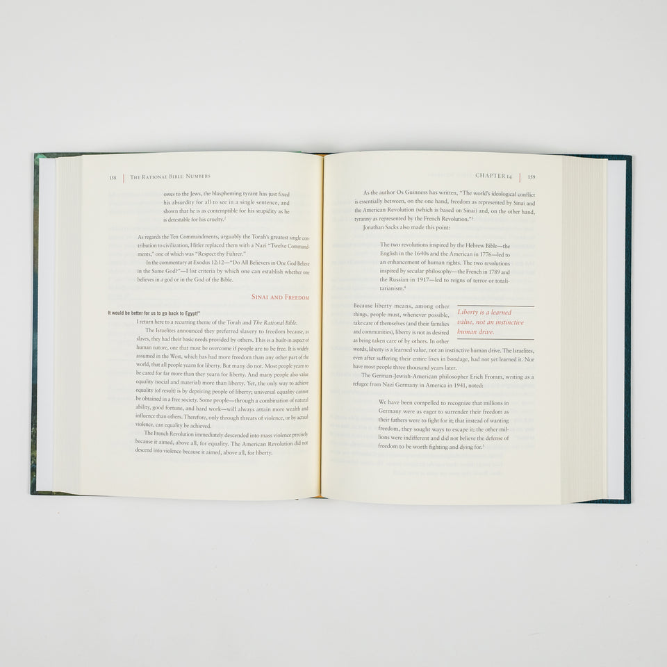 The Rational Bible: Numbers book cover by Regnery Faith, featuring a biblical illustration with title and author details.