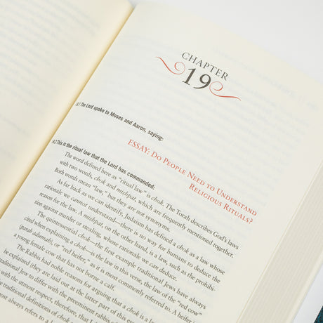 Cover of The Rational Bible: Numbers by Regnery Faith, featuring a biblical scene with text and design elements.