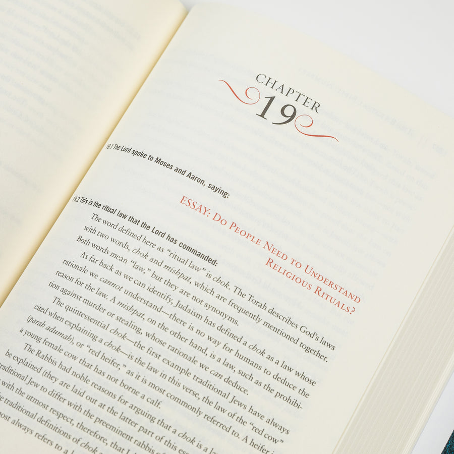 Cover of The Rational Bible: Numbers by Regnery Faith, featuring a biblical scene with text and design elements.