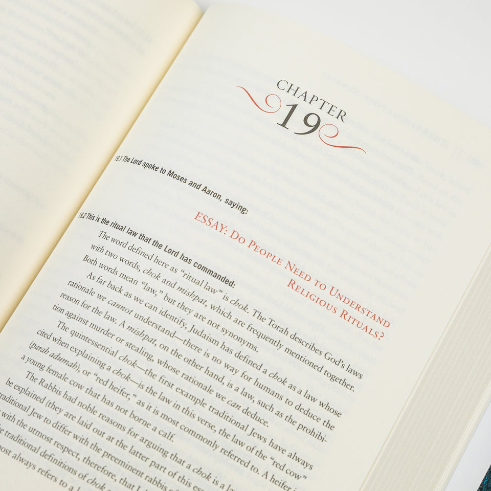 Cover of The Rational Bible: Numbers by Regnery Faith, featuring a biblical scene with text and design elements.