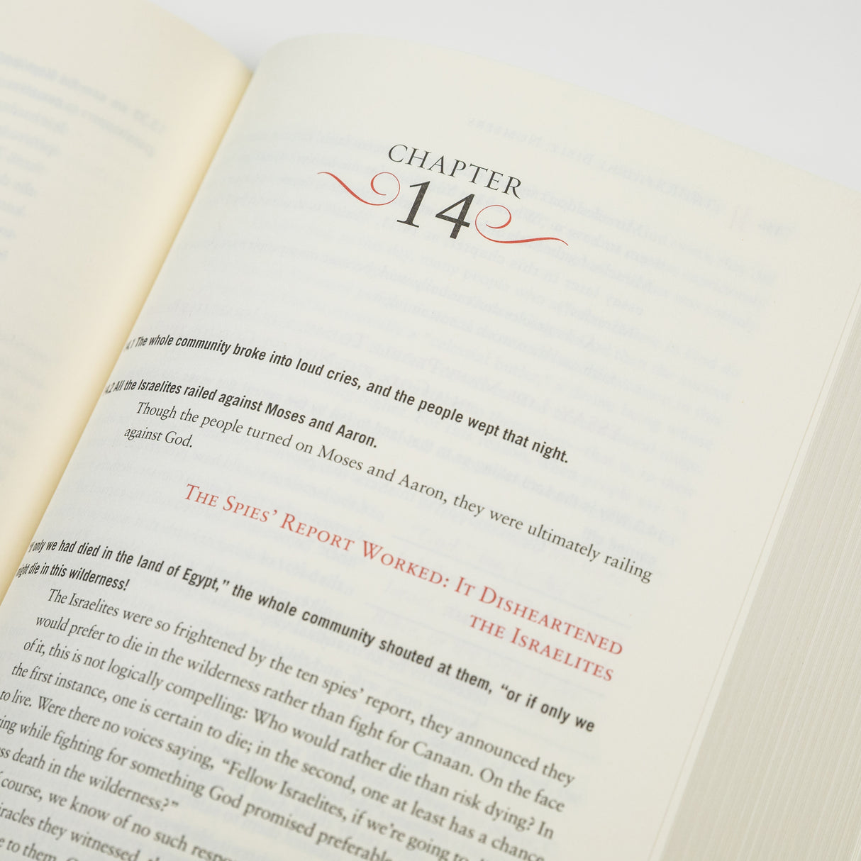 GetBooks Bible book titled The Rational Bible: Numbers by Regnery Faith, featuring cover art with biblical imagery and title text.