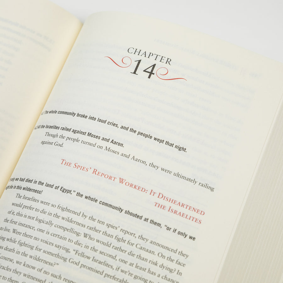 GetBooks Bible book titled The Rational Bible: Numbers by Regnery Faith, featuring cover art with biblical imagery and title text.