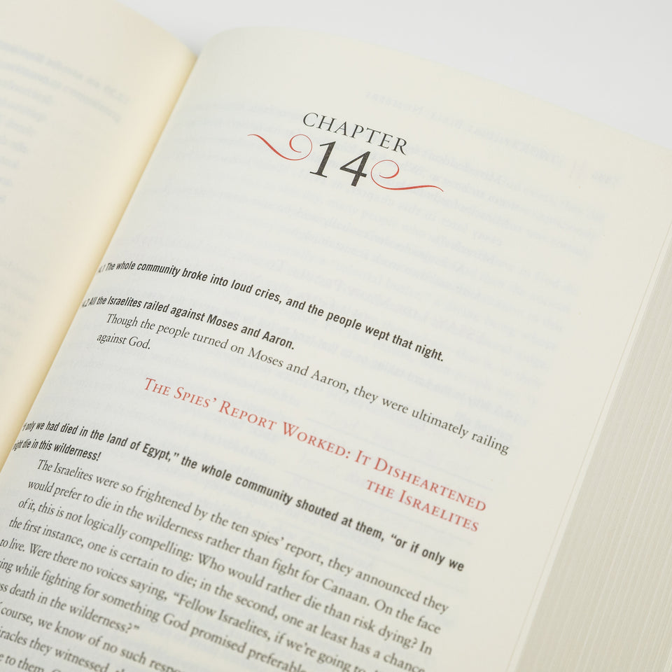 GetBooks Bible book titled The Rational Bible: Numbers by Regnery Faith, featuring cover art with biblical imagery and title text.